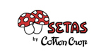 LOGO SETAS