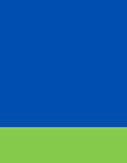 ROYAL BLUE / NEON GOLD