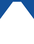 WHITE/ROYAL BLUE