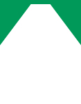 WHITE/KELLY GREEN