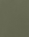 CLASSIC OLIVE