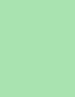 NEO MINT