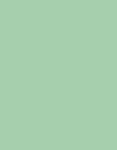 NEO MINT