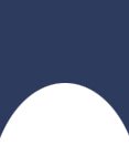 NAVY WHITE